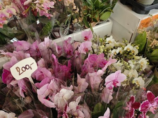 Botanická burza